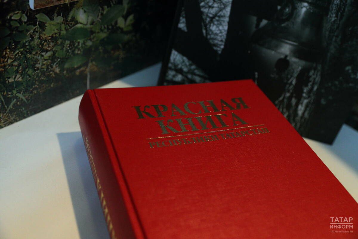 В Минприроды РФ опровергли слухи о разрешении на отстрел краснокнижных животных