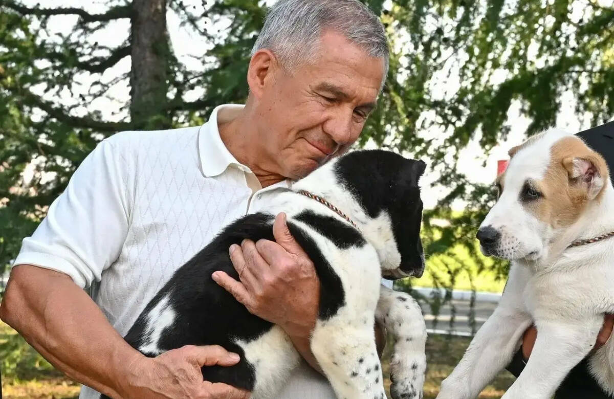 Минниханов: лидер Туркменистана прислал нам пару алабаев в знак особой дружбы