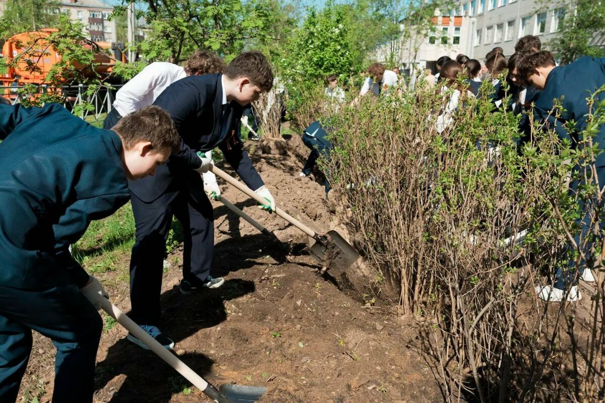 В Московском районе Казани школьники и сотрудники СИБУРа высадили аллею сирени