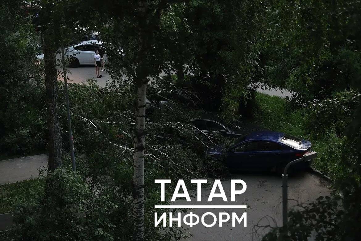 В Казани на Кулахметова из-за сильного ветра дерево упало на машину
