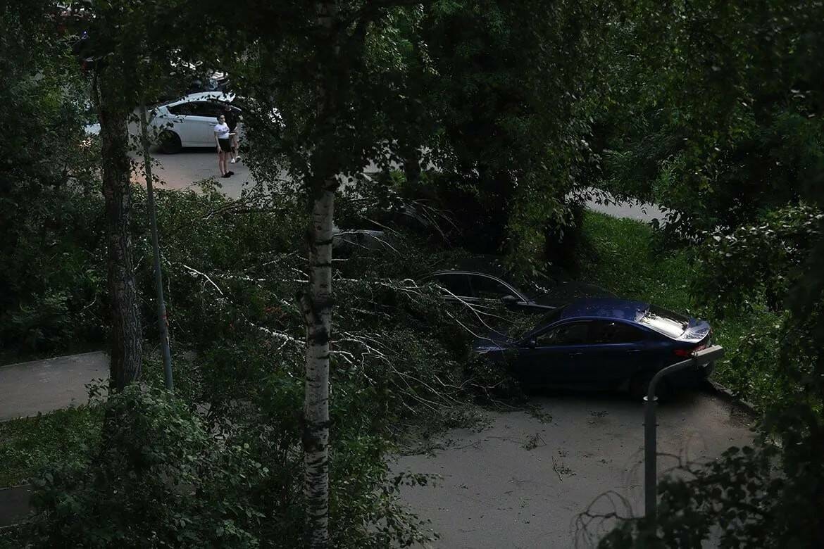 В Казани на Кулахметова из-за сильного ветра дерево упало на машину