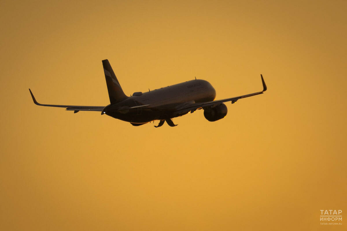 Раис Татарстана обсудил с главой VietJet Air перспективы открытия прямых авиарейсов