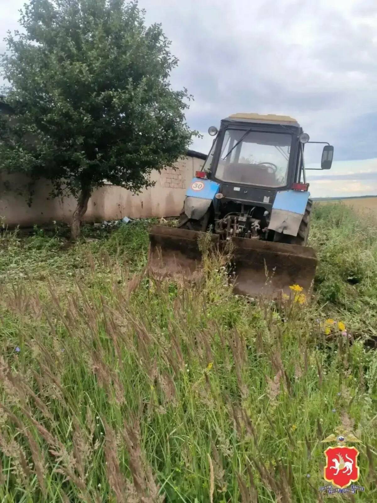 В Нижнекамском районе выявлены обширные заросли конопли