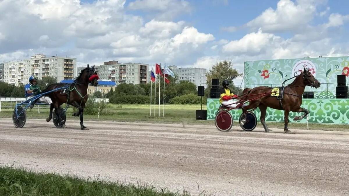 В Омске стартовали мероприятия XXVI Федерального Сабантуя
