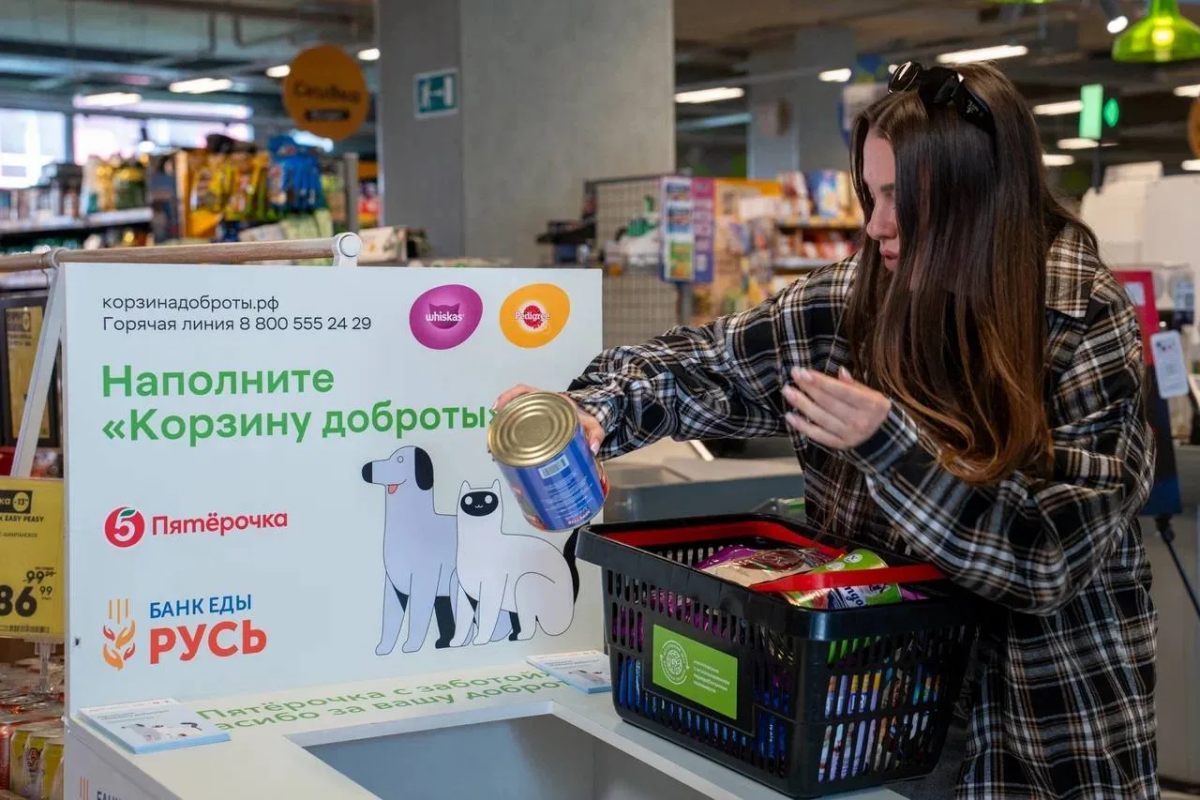 «Пятёрочка» увеличила помощь зооприютам на 25% за первое полугодие 2026 года
