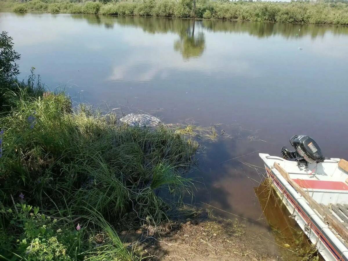 В Елабужском районе обнаружено тело утонувшего мужчины