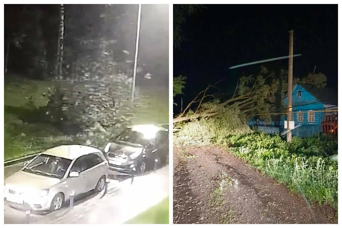 Дерево упало на мужчину под Казанью, он погиб