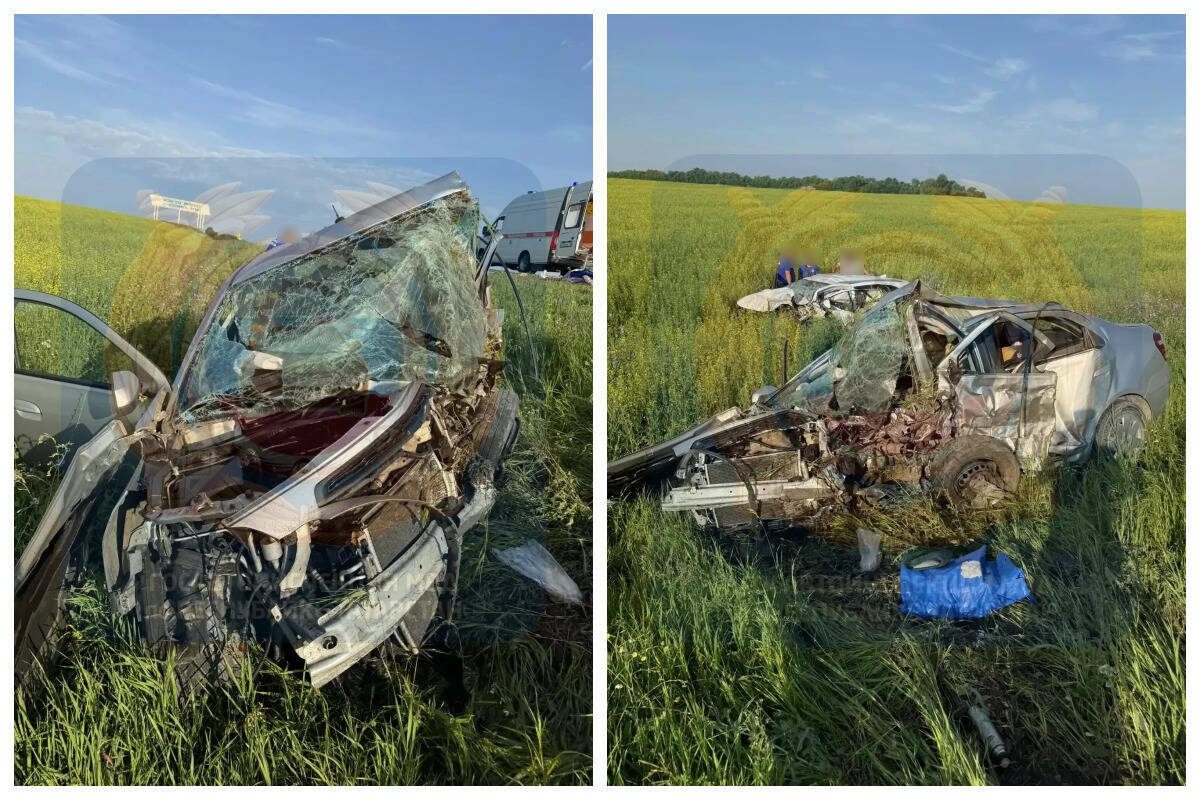 Водитель и пассажир погибли из-за выехавшего на встречку авто на трассе в РТ
