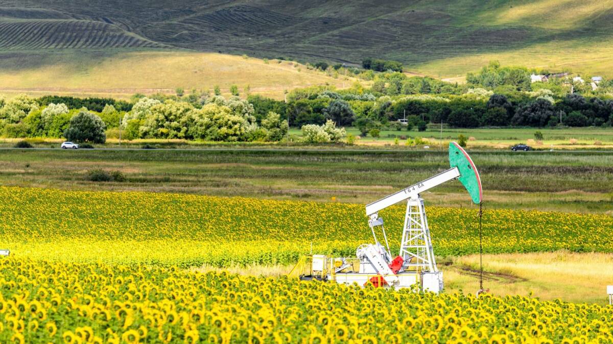 «Татнефть» довела число климатических проектов в российском реестре до 63