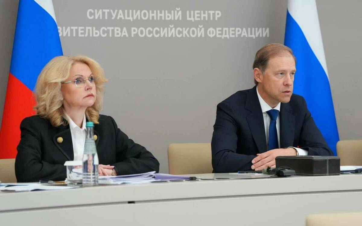 Мантуров назвал стабильную работу одним из факторов при решении завести ребёнка