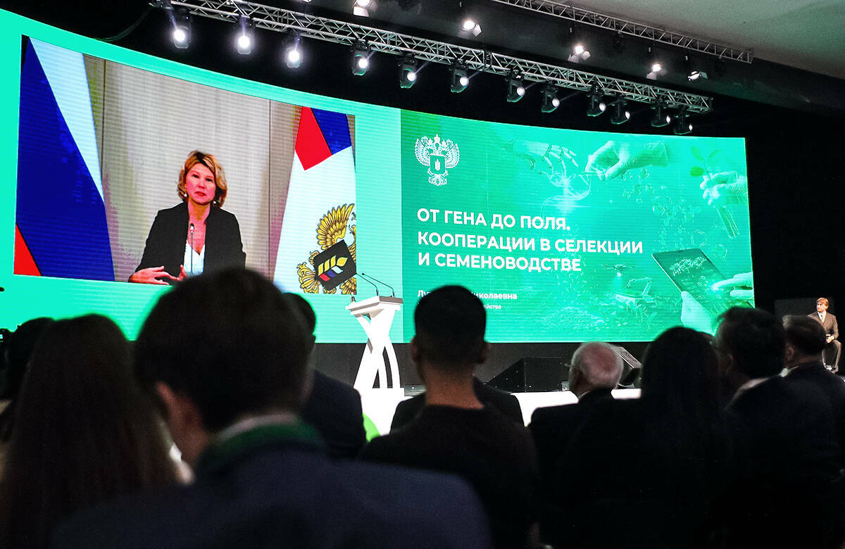 Россия заметно сократила зависимость от импортных семян, однако по яровой пшенице и ячменю доля отечественной селекции по-прежнему проседает. На форуме «Русское поле» в Казани Оксана Лут предупредила: нынешних темпов уже недостаточно, а дальнейший рост потребует более тесной кооперации отрасли.
