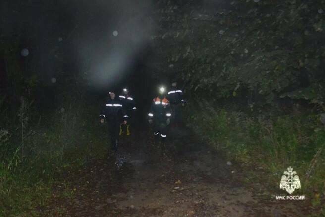 В Нурлатском районе РТ женщина заблудилась, пойдя за грибами в лес