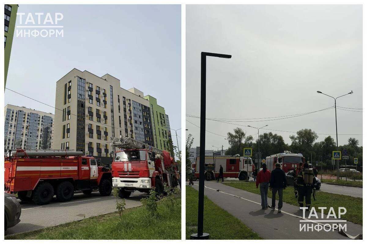 Собака погибла на пожаре в казанском ЖК «Светлая долина», люди не пострадали