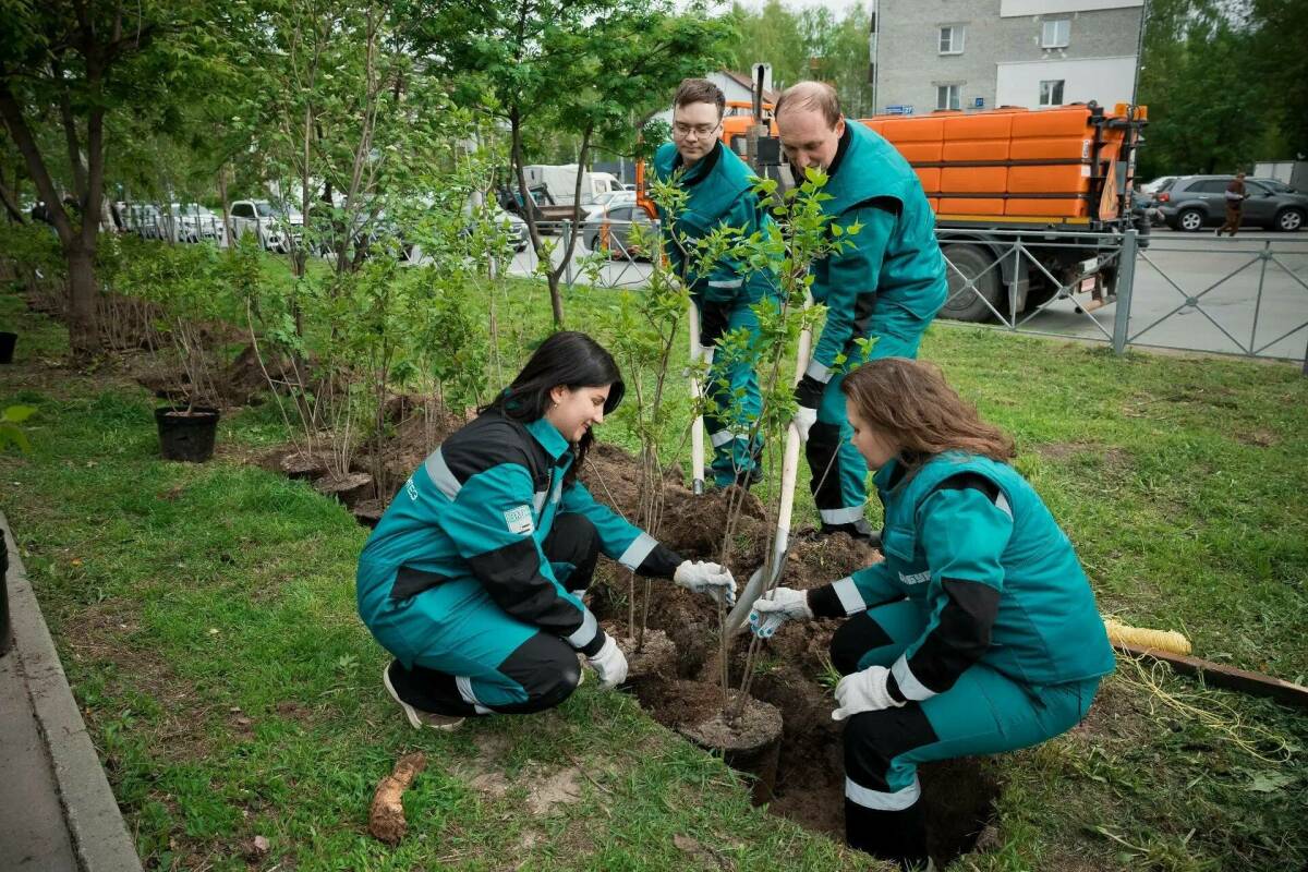 «Казаньоргсинтез» высадил каждое пятое новое дерево в двух районах Казани