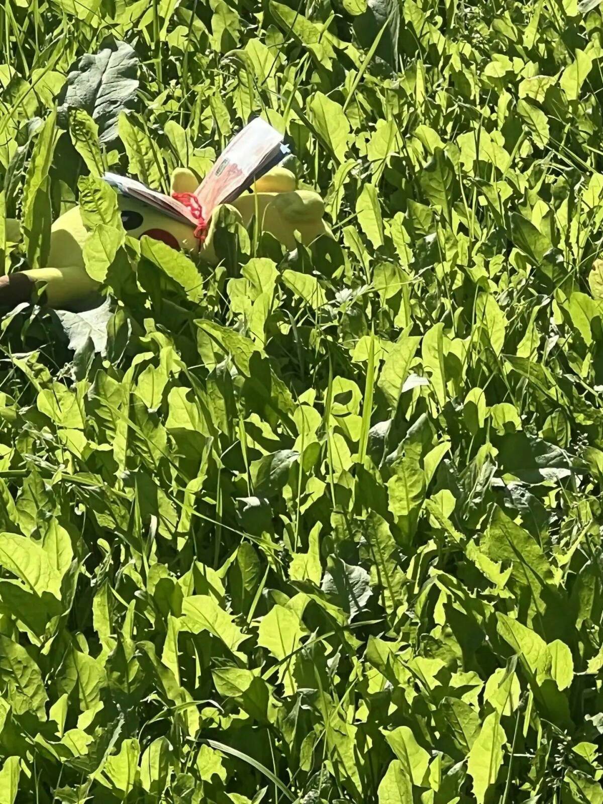 В МВД призвали не паниковать из-за купюр, привязанных к детской игрушке в РТ
