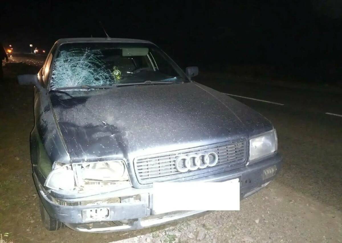 Audi и Honda насмерть сбили пешеходов в Татарстане