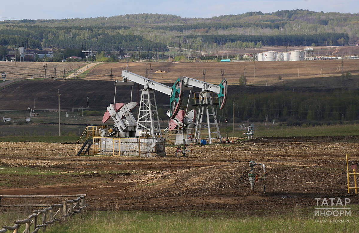 «Проверь себя» с «Татар-информом»: 8 вопросов и ответов о нефти и газе