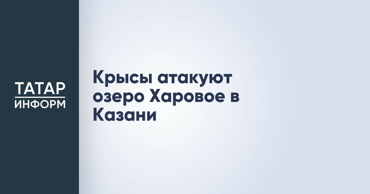 Крысы атакуют озеро Харовое в Казани
