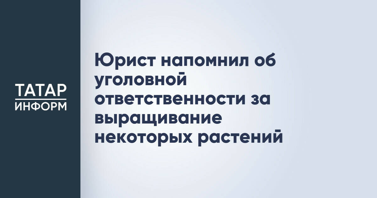 Юрист напомнил об уголовной ответственности за выращивание некоторых растений