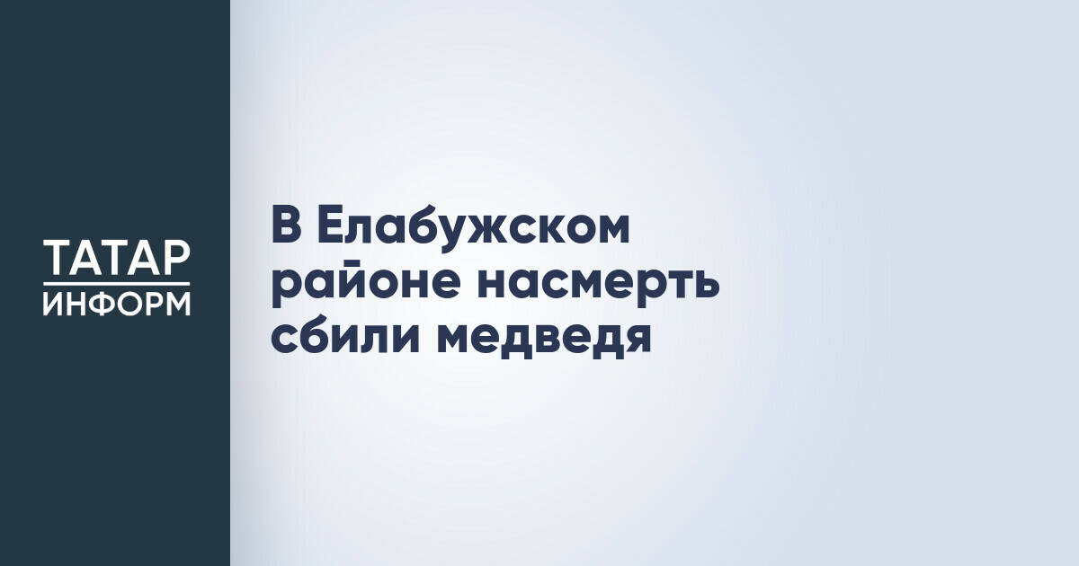 В Елабужском районе насмерть сбили медведя