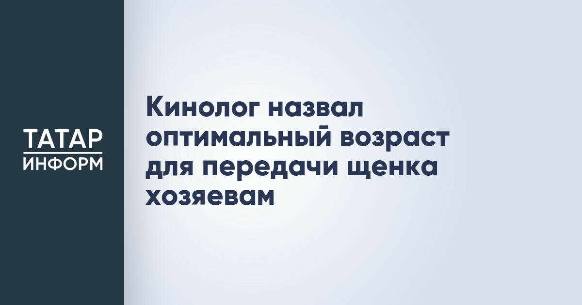 Кинолог назвал оптимальный возраст для передачи щенка хозяевам