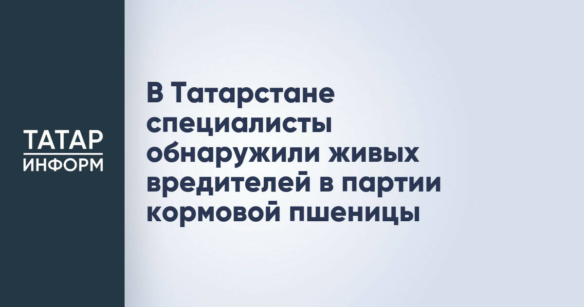 В Татарстане выявлены вредители в крупной партии кормовой пшеницы