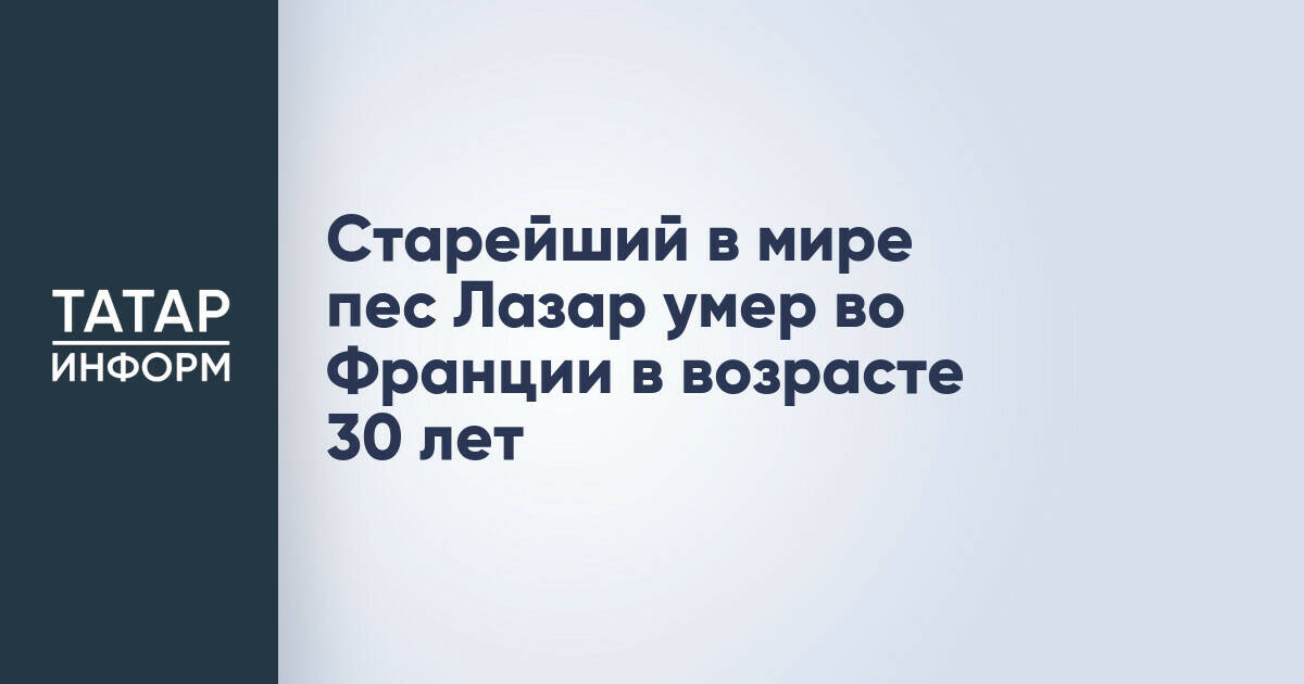 Во Франции в возрасте 30 лет скончался старейший пес Лазар