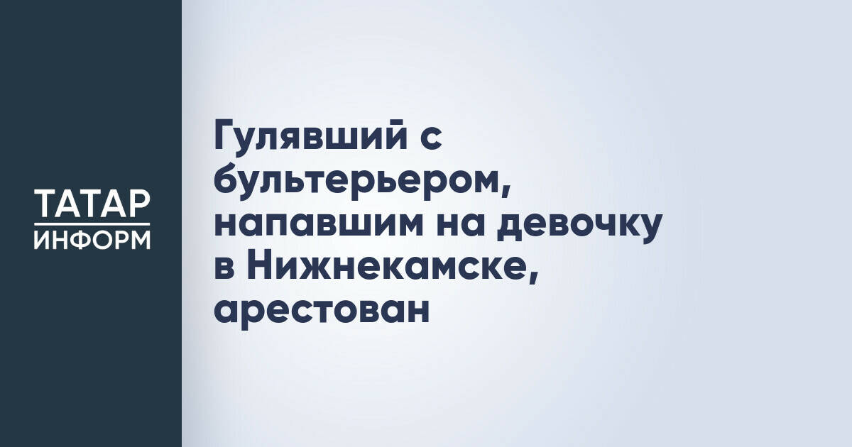 В Нижнекамске арестовали мужчину, выгуливавшего бультерьера, напавшего на ребенка
