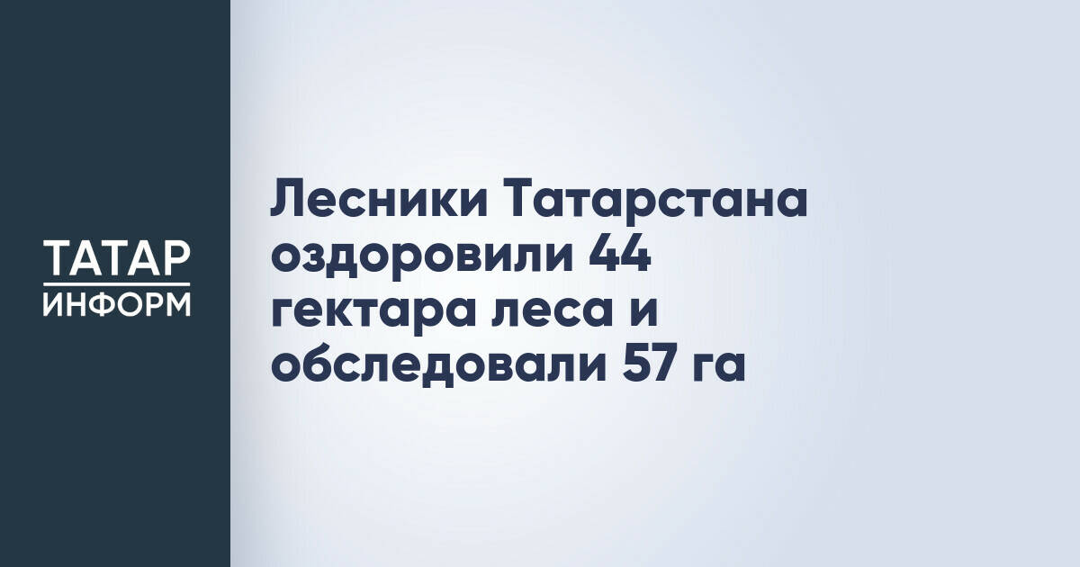 Лесники Татарстана провели оздоровление и обследование лесных угодий