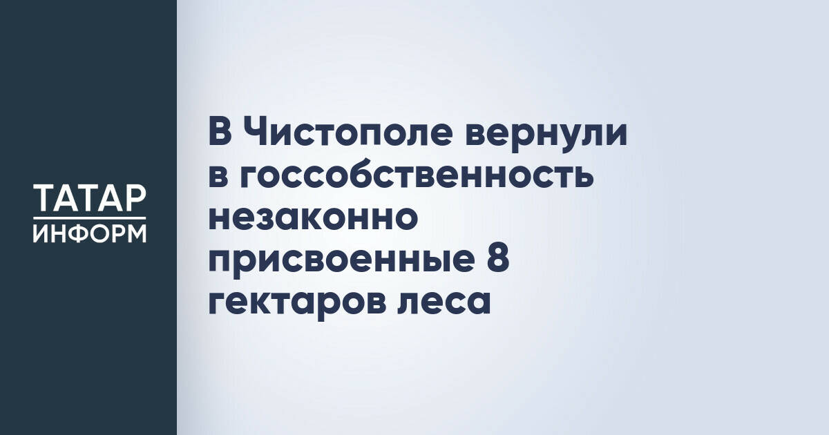 В Чистополе возвращено государству 8 гектаров леса, незаконно присвоенных нефтяной компанией