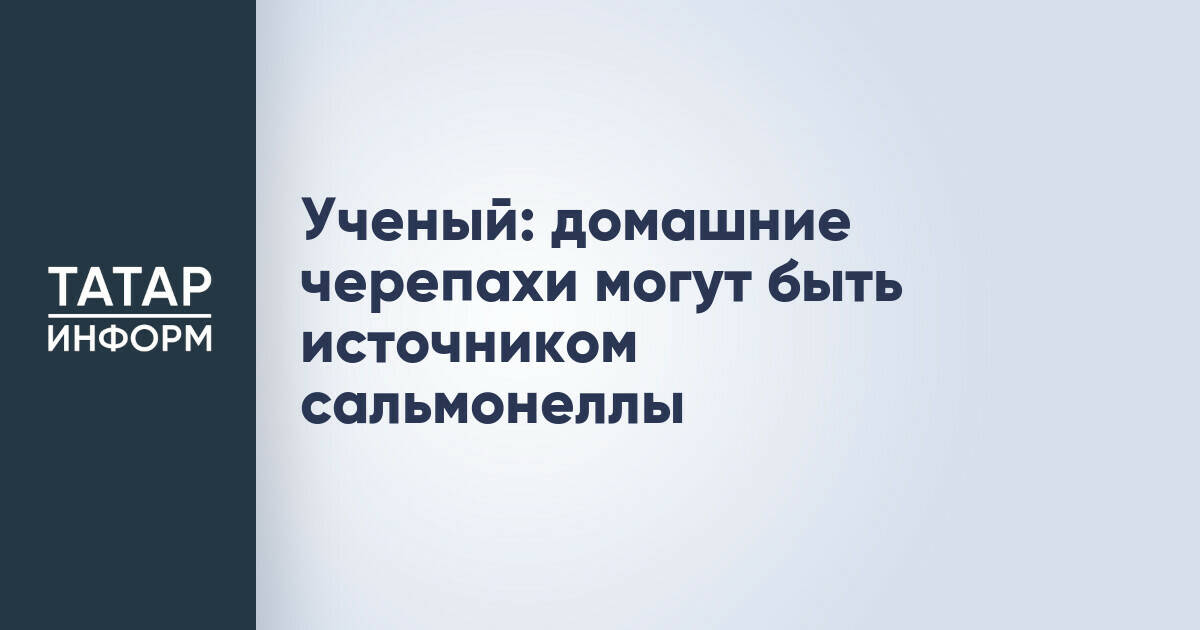 Герпетолог предупредил о риске заражения сальмонеллезом от домашних черепах