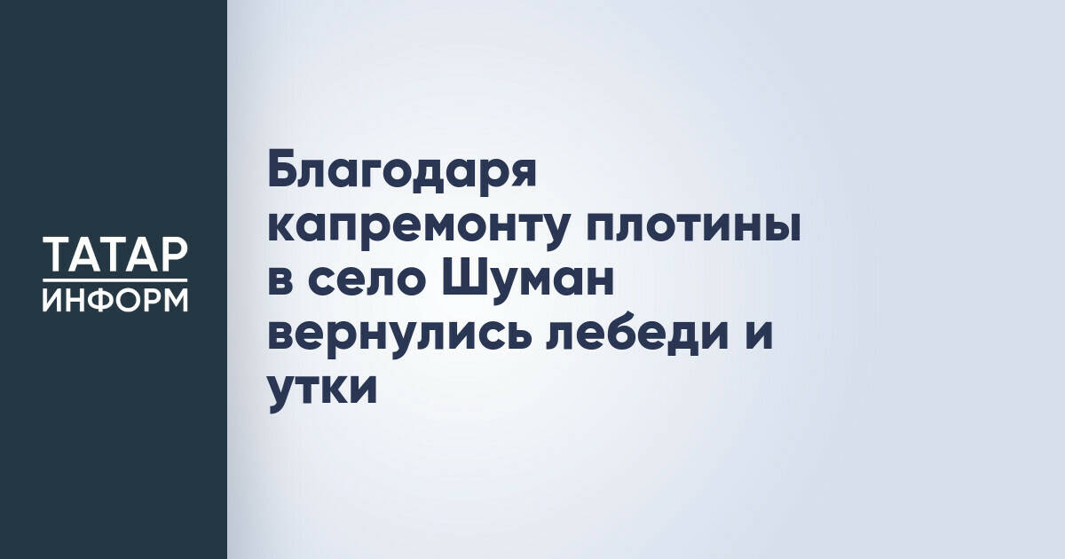 В селе Шуман Татарстана после капремонта плотины восстановлена экосистема и защита от паводков