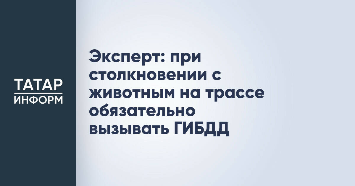 Эксперт: сокрытие факта ДТП с животным на трассе может привести к лишению прав