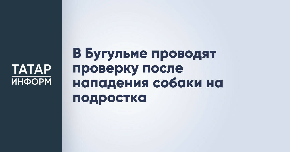 Прокуратура Бугульмы проводит проверку после нападения собак на подростка