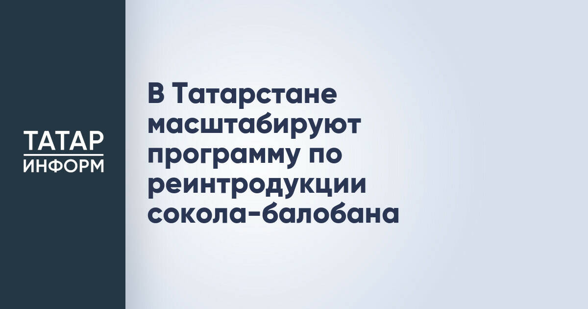 Российская армия нанесла удары по предприятиям в Киеве, производящим беспилотники