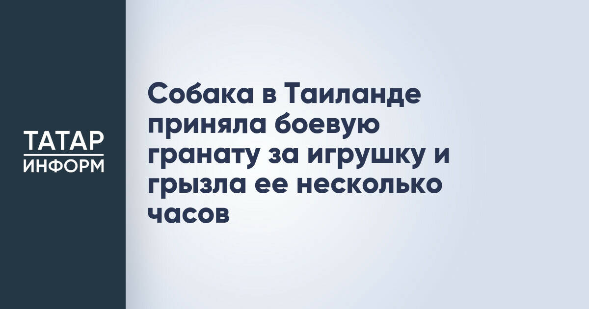 Собака в Таиланде играла с боевой гранатой несколько часов