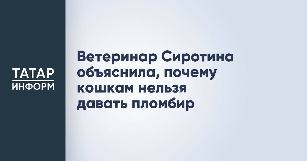 Ветеринар разъяснила опасность угощения кошек мороженым