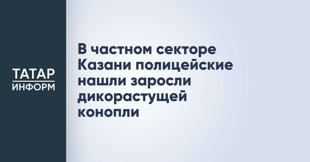В Казани в ходе операции «Мак-2026» выявлены очаги дикорастущей конопли