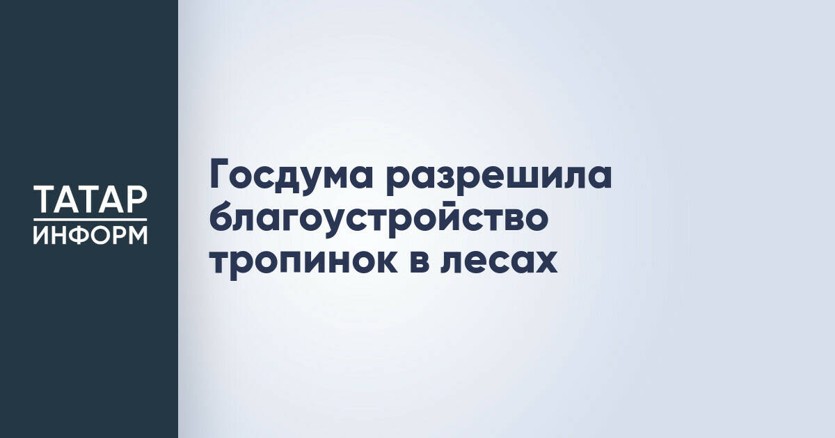 Госдума одобрила благоустройство пешеходных и велосипедных дорожек в лесах
