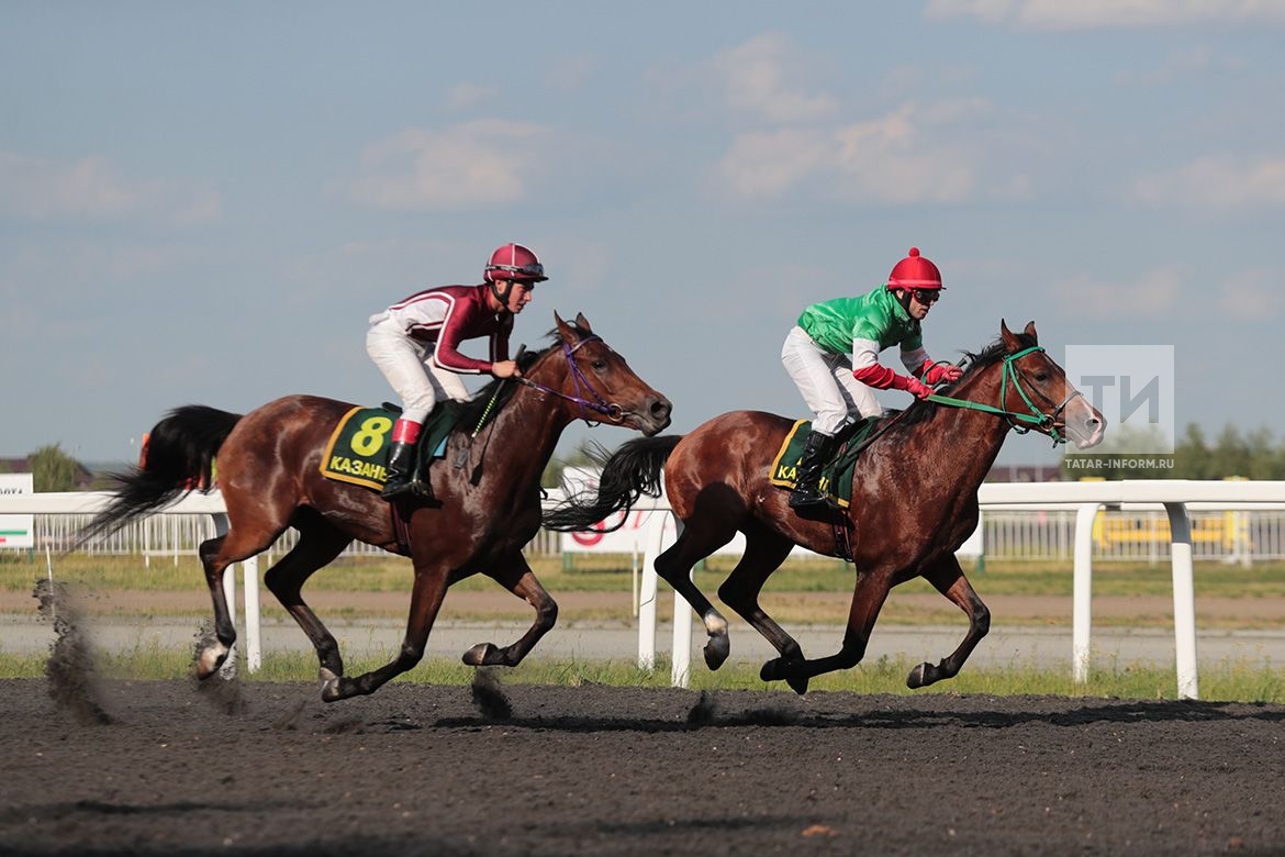 Конный спорт калуга